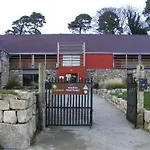 Knockree *