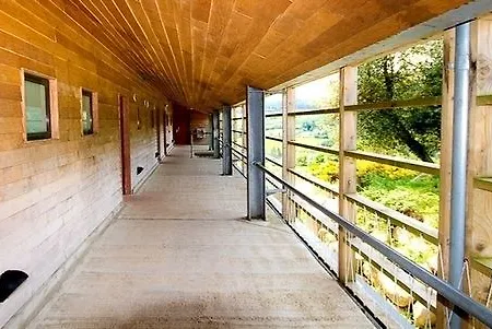 Knockree *