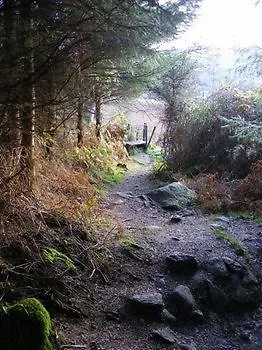 Knockree Enniskerry