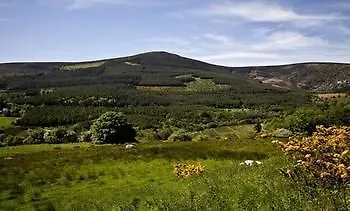 Knockree *
